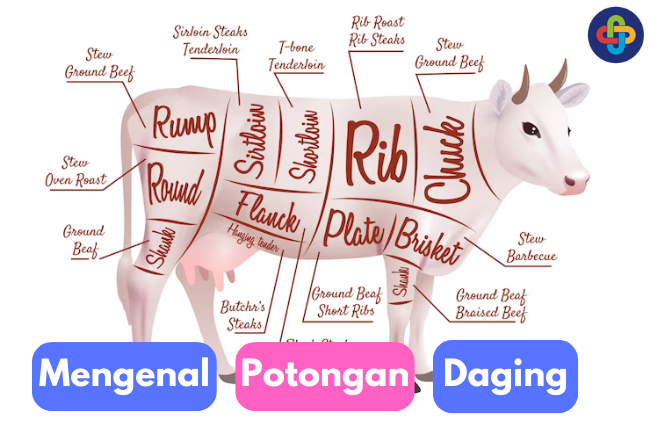 Memahami Berbagai Potongan Daging Sapi dalam Kuliner