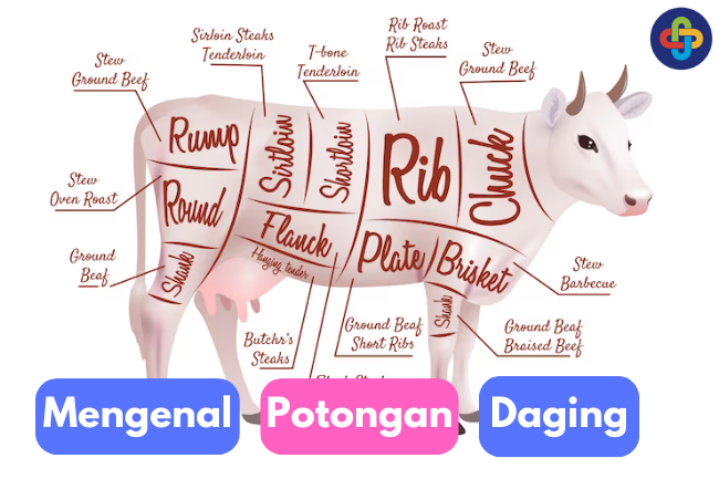 Pattern Daging Memahami Berbagai Potongan Daging Sapi dalam Kuliner