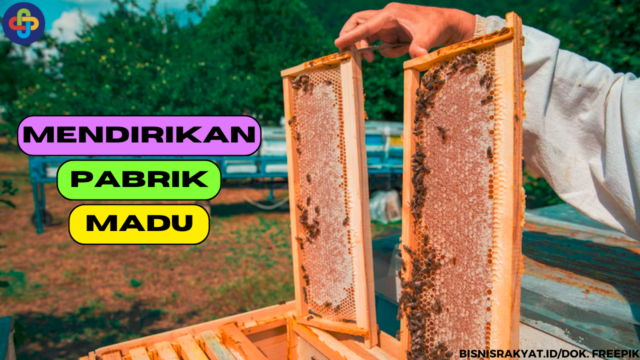 6 Cara Mendirikan Pabrik Madu yang Perlu Diketahui