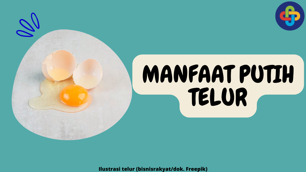 Kesehatan Terbaik dengan 8 Manfaat Putih Telur: Kenali Keunggulannya!