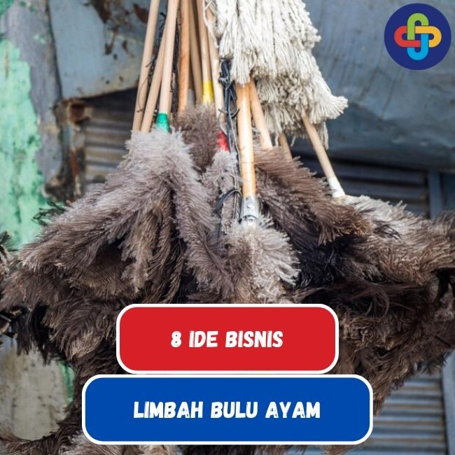 8 Ide Bisnis dari Limbah Bulu Ayam