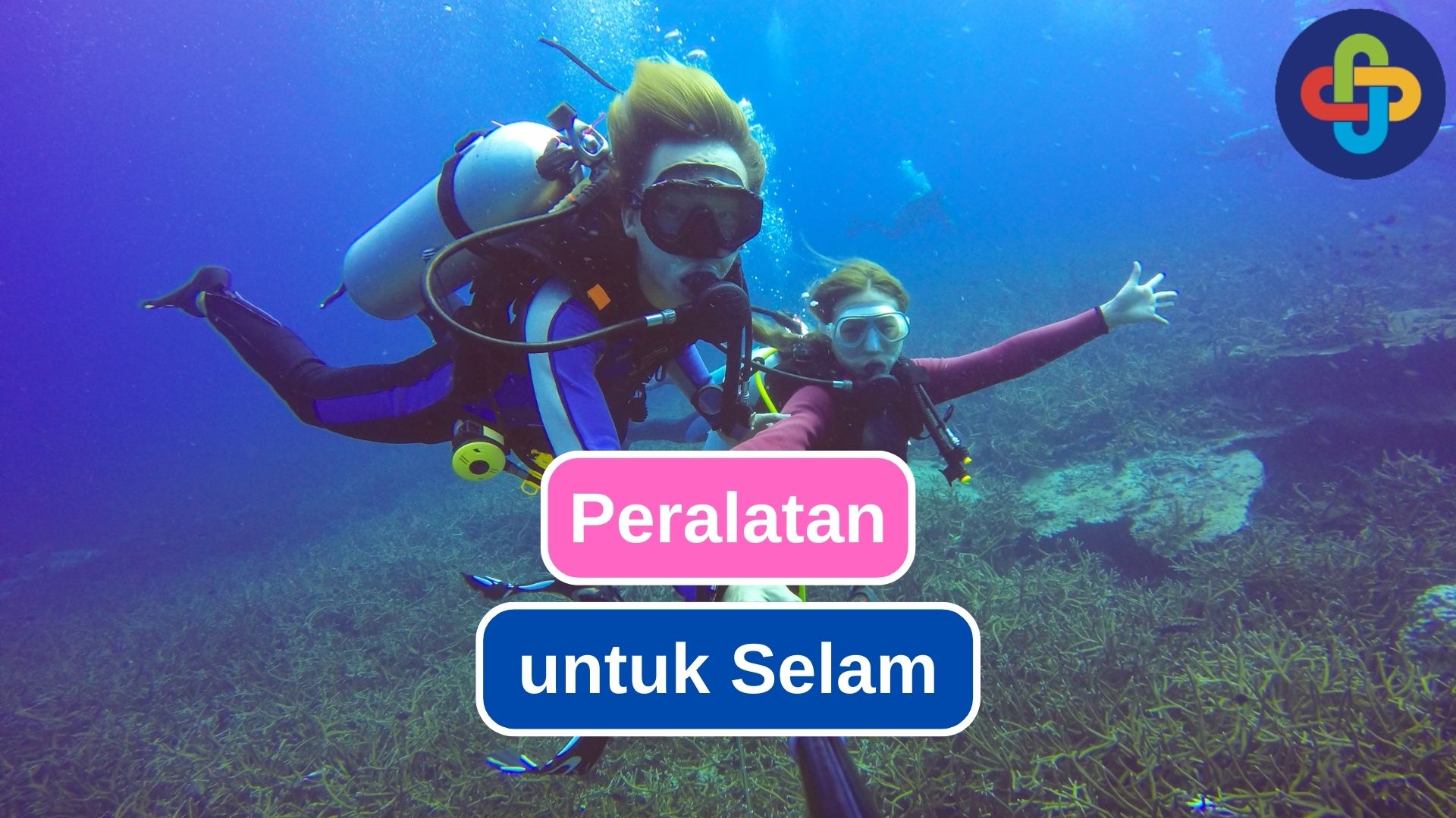 Tentu, mari kita bahas secara mendalam tentang peralatan yang dibutuhkan untuk scuba diving, sebuah petualangan bawah laut yang menakjubkan.
